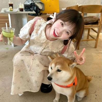 真正的正义4